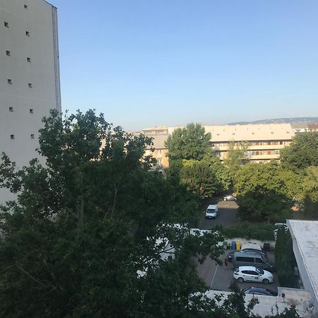 Pillango Parki Kis Lakas 15 Percre A Belvarostol Budapest Eksteriør billede
